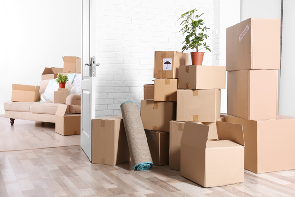 Comprehensive Guide to Moving Services: Everything You Need to Know
